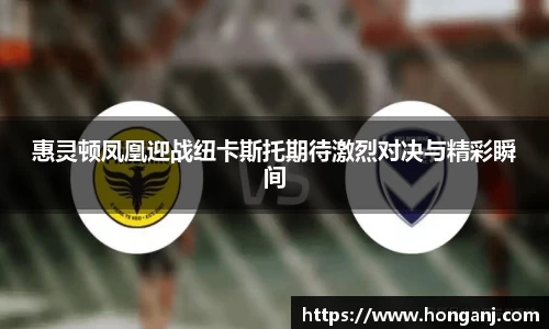 惠灵顿凤凰迎战纽卡斯托期待激烈对决与精彩瞬间